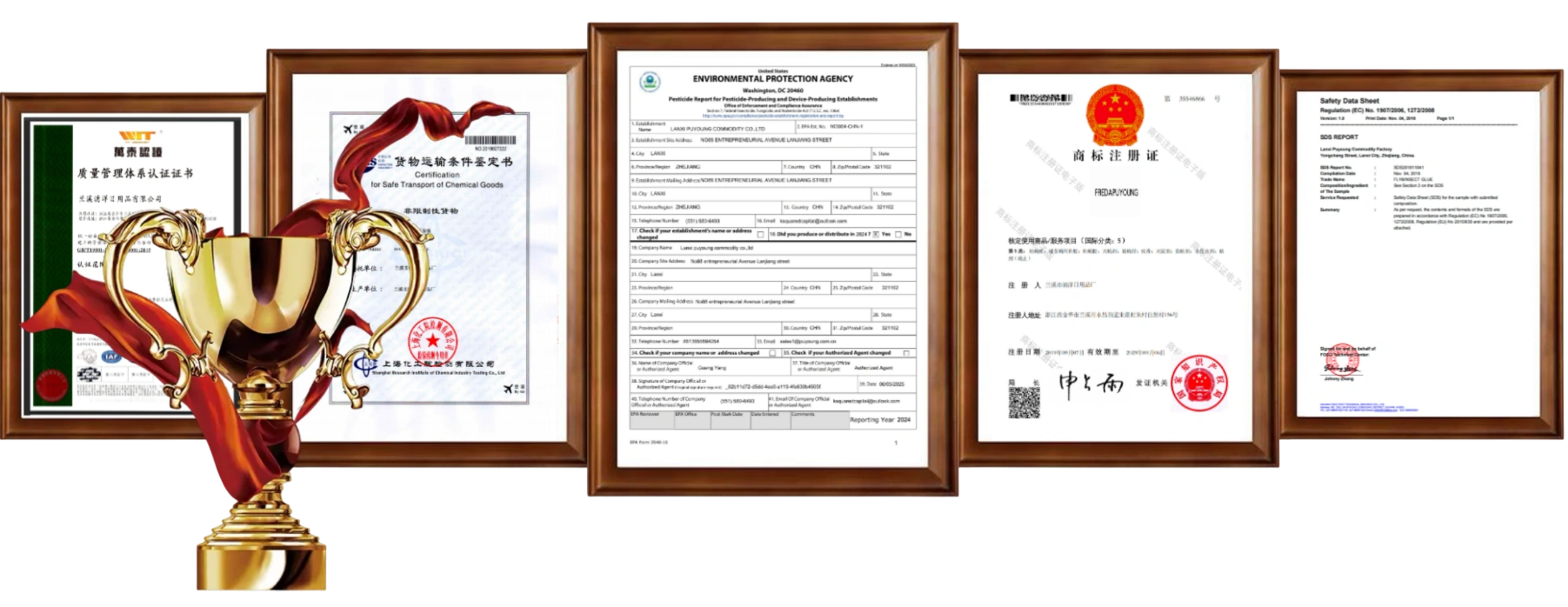 lanxi Puyoung  certificate