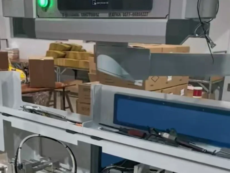 Lanxi Puyoung mouse trap Manufacturing