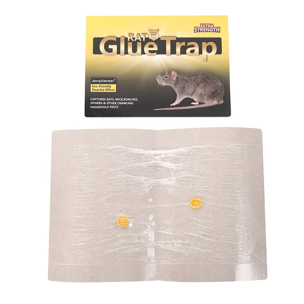 Mouse Glue Trap