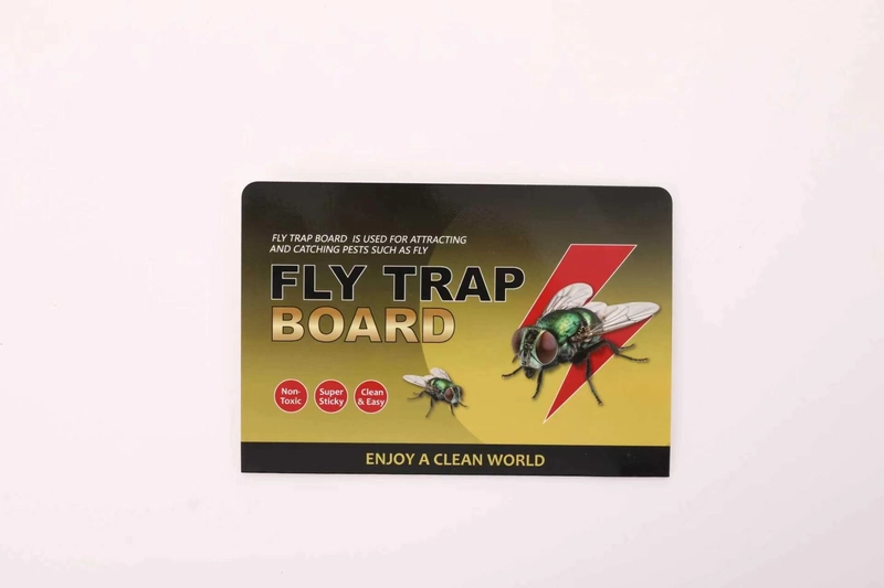 Why Do Fly Glue Traps Work Surprising Fly Facts Behind the Trapping Principle Why Do Fly Glue Traps Work Surprising Fly Facts Behind the Trapping Principle